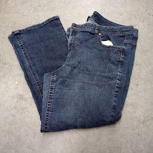 Lane Bryant jeans
